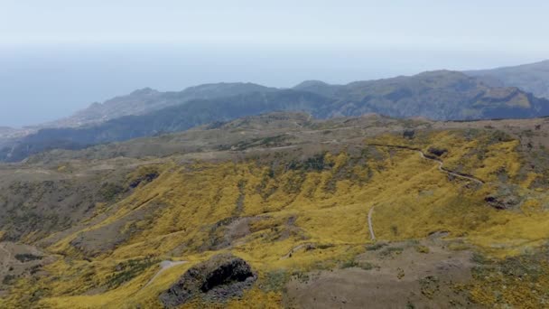 Aerial Forward Madeira Moutains Yellow Flowers Ocean Background — Vídeo de stock