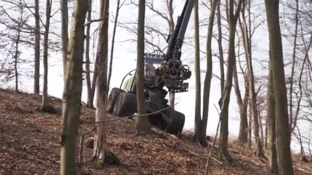 Lesnický Těžební Stroj Mechanickým Ramenem Pracující Podzimním Lesním Svahu — Stock video