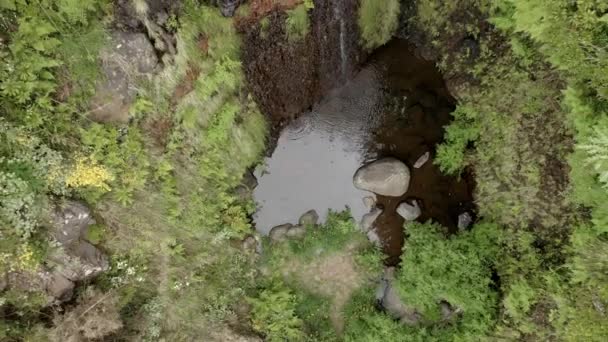 Aerial Topshot Dezoom Small Waterfall Madeira — Video
