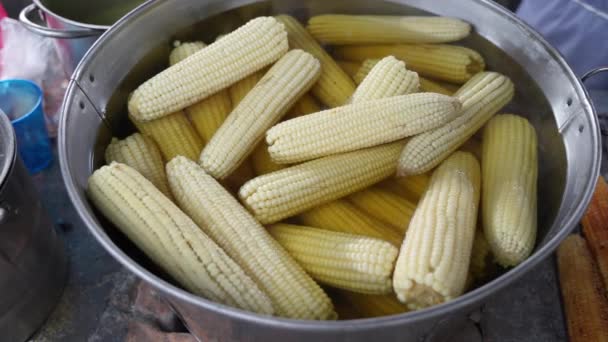 Corn Cob Sitting Large Pot Hot Water Close View — Stock Video