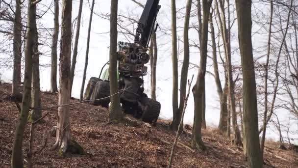 Forestry Harvester Mechanical Chainsaw Arm Autumn Forest Slope — ストック動画