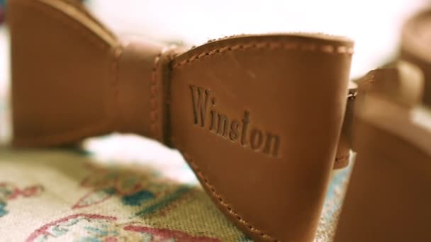 Beautiful Brown Lather Wiston Dog Bow — Stockvideo