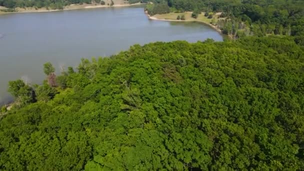 Nedstigning Mot Vattennivån Över Träd Naturen — Stockvideo