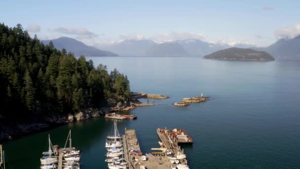 在加拿大温哥华西部的马蹄湾码头停泊游艇 空中俯仰式射击 — 图库视频影像