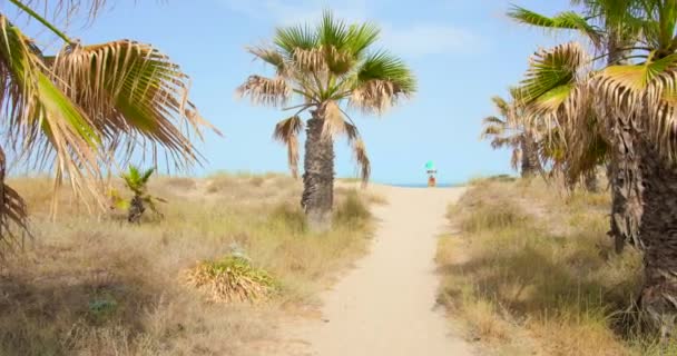Palm Trees Lifeguard Post Distance Tropical Beach Summer Panning — Vídeos de Stock