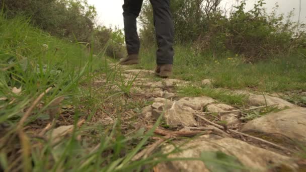 Angle Bas Homme Randonnée Pédestre Dans Sentier Montagne Aventure Trekking — Video