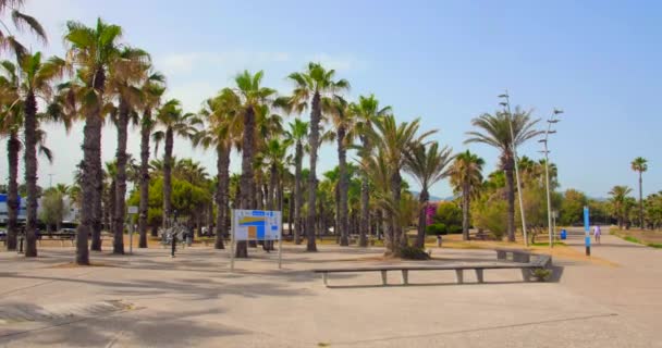 Widok Część Wypoczynkową Ławeczkami Palmami Pobliżu Plaży Pinar Castellon Hiszpania — Wideo stockowe