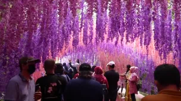 Semarang Indonésie Června 2022 Turisté Hrnou New Celosia Květinové Zahrady — Stock video