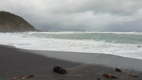 Large Rolling Waves Remote Rugged Black Sand Coastline Beach Bleak — Stock Video