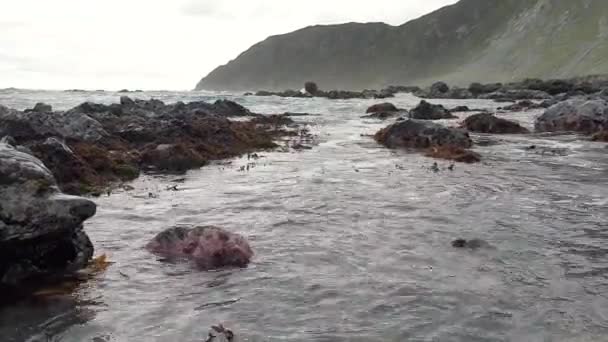 Waves Seaweed Washing Rocky Shoreline Wild Rugged Remote Ocean Coastline — Video
