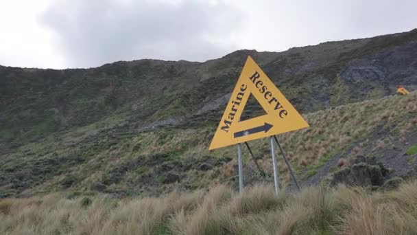 新西兰威灵顿南部海岸崎岖的野生海岸线上的一个大的黄色三角形海洋保护区标志 — 图库视频影像