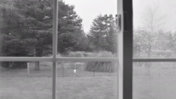 Alte Verfehlte Doppelt Verglaste Fenster Mit Kondenswasser Schwarz Weiß Zoom — Stockvideo