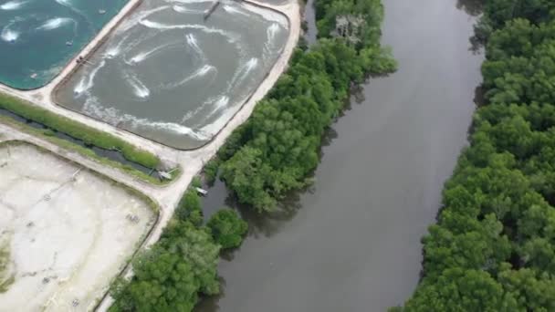 Aerial Tilt Shot Capturing Aquaculture Farming Controlled Facility Cultivating Aquatic — Stock Video