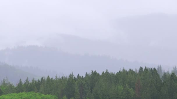 Bouře Valí Idahem Severními Horami Jasně Zelenými Stromy Pohybujícími Mraky — Stock video
