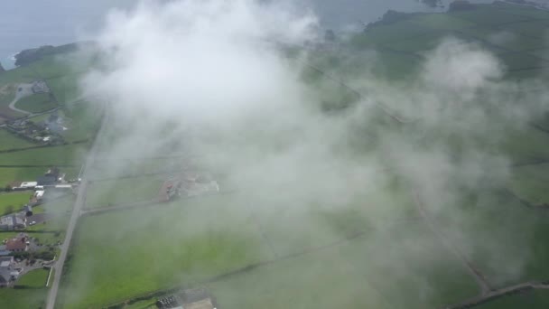 Luftaufnahme Durch Wolken Saftig Grünes Ackerland Der Südirischen Küste — Stockvideo