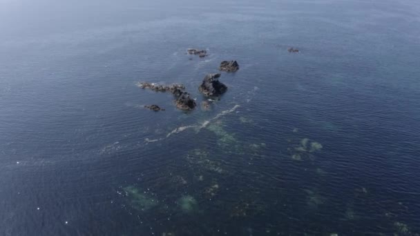 Luchtfoto Daalt Naar Ondiep Zeewater Bij Grillige Oceaanrotsen — Stockvideo