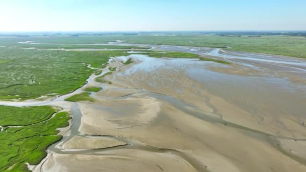 Aerial Shot Narrow Rivers Winding Beautiful Green Wetlands River Banks — Vídeo de Stock