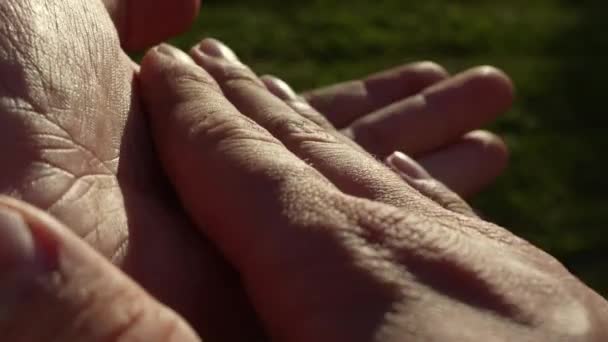Ellerinizi Yavaşça Çırpın Başparmaklarınızı Kaldırın Makroyu Kapatın — Stok video
