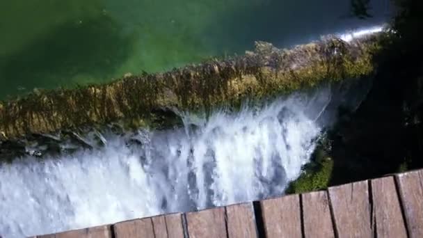Pan Water Flowing Edge Plants Wooden Bridge — Wideo stockowe