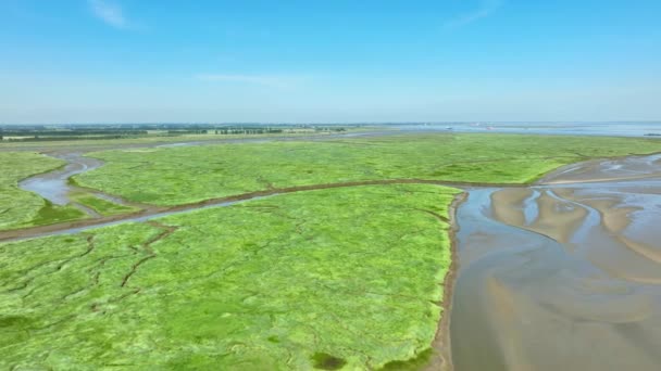 Long Aerial Shot Flying Tracking Muddy Narrow River Flowing Beautiful — ストック動画