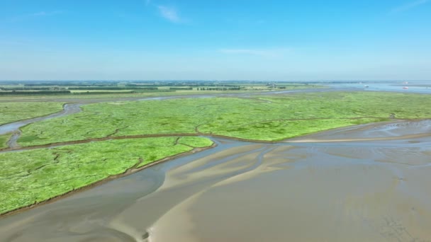茂みや海につながる小さな川と干潟や緑の湿地の空中ショット — ストック動画