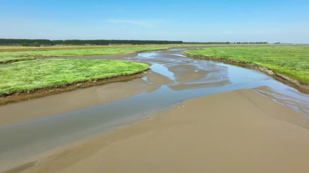 Espectacular Plano Aéreo Sobrevolando Río Fangoso Que Fluye Través Verdes — Vídeo de stock