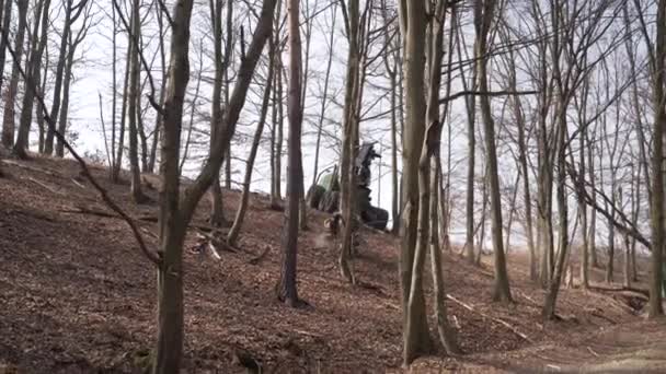 Árvore Morta Abatida Por Colheitadeira Florestal Floresta Outono Sem Folhas — Vídeo de Stock