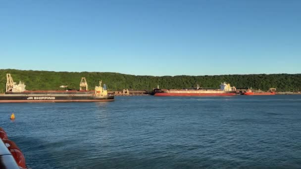 Helicopter Landing Ships Passing Durban Harbor — Vídeos de Stock