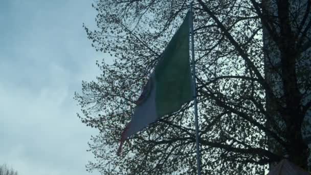 Flag Mexico Flutters Slowly Breeze Front Big Tree Branches — Stock Video