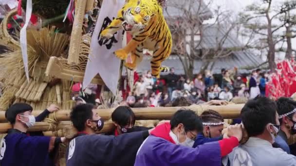 Festzug Zum Sagicho Jahr Der Tiger Zieht Alter Japanischer Stadt — Stockvideo
