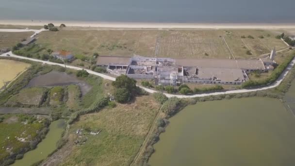 Salinas Samouco Tagus River Background Some Flamingos Flying Very Beautiful — Video