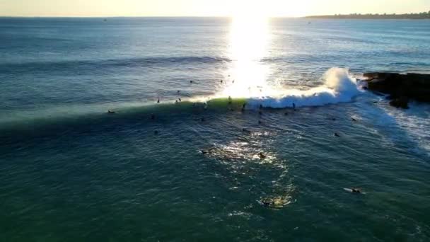 Luftaufnahme Von Mehreren Surfern Mit Einem Longboard Auf Einer Welle — Stockvideo