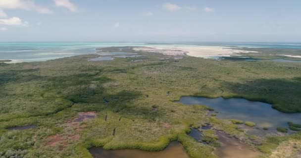 Aerial View Tropical Nature Reserve Mangrove Forest Wetlands Turn Left — Stockvideo