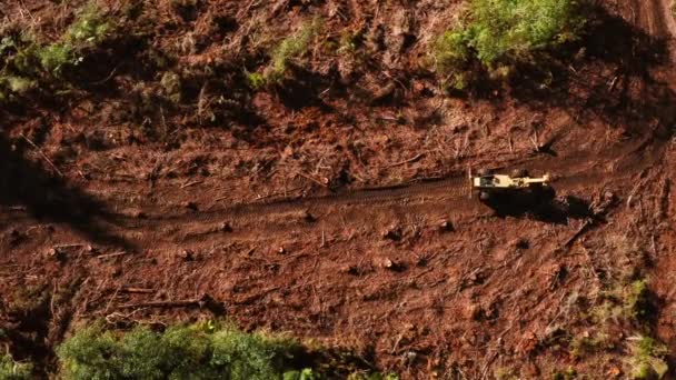 Skidder Driving Muddy Path Clearcutting Logging Area Aerial — Stock Video