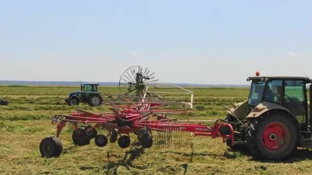 トラクター収量収穫 晴れた日 オート麦 小麦を引く農業で小麦の空中ビューを収穫し始めた 生産される食料のドローンショットは — ストック動画