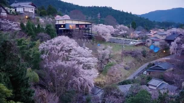 Japonské Venkovské Horské Sousedství Jaře Sakura Nad Domy Yoshinu — Stock video