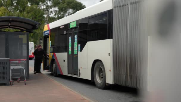 Busy Bus Interchange Bus Stop Passengers Boarding Alighting Day — Stok video