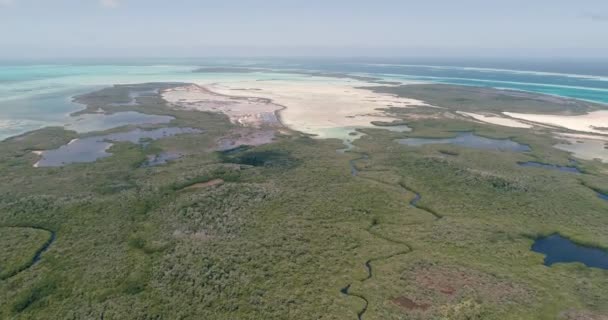 Aerial View Nature Reserve Canals Surrounded Turquoise Water Turn Right — Video Stock