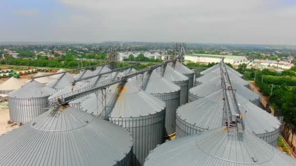 Aerial View Drone Group Silo Sunny Day Food Factory Increase — Vídeo de stock