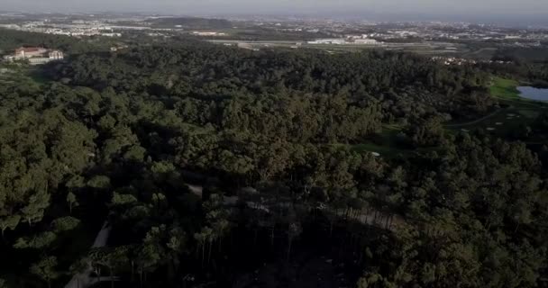 Aerial Panoramic Portuguese Green Area Nearby Cascais Portugal — Stock Video