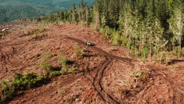 Skidder Machine Open Clearcutting Forest Plot Driving Mud Track Destruction — Stockvideo