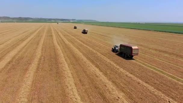 Multiple Tractors Starting Harvest Wheat Aerial View Agriculture Multiple Tractors — Vídeo de stock