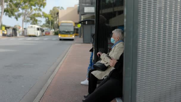 Busy Bus Interchange Bus Stop Passengers Boarding Alighting Day — Stok video