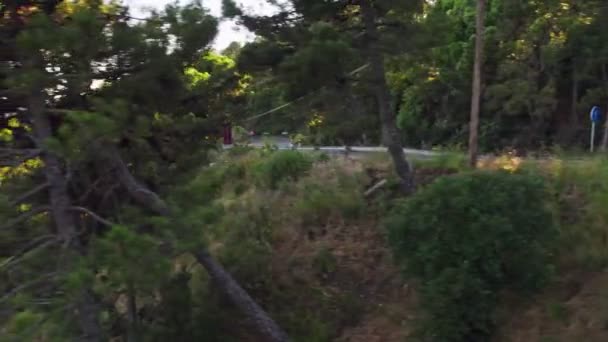 Zielone Leśnictwo Południu Hiszpanii Niedaleko Gibraltaru — Wideo stockowe