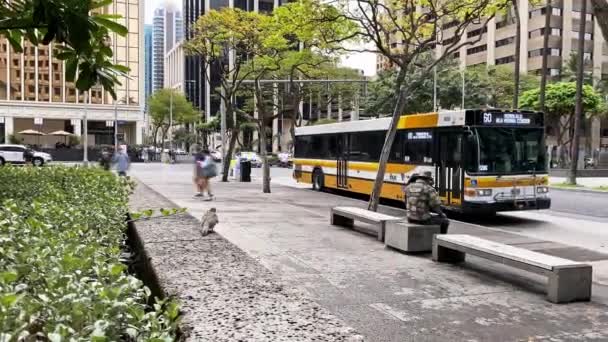 Calendário Passageiros Esperando Uma Parada Ônibus Centro Honolulu — Vídeo de Stock