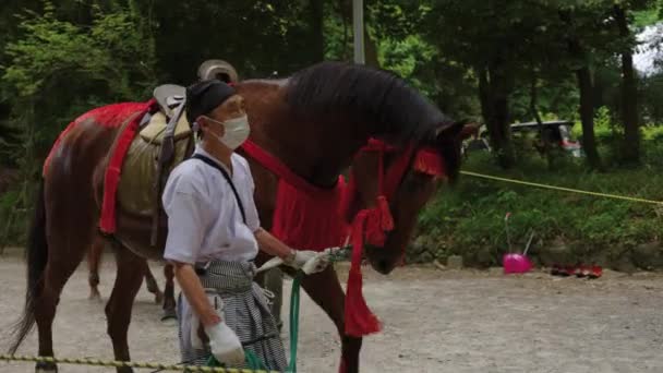 Yabusame Trainer Leidende Paard Naar Boogschieten Evenement Omi Jingu Heiligdom — Stockvideo