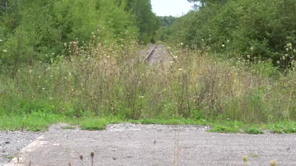 Een Oude Verlaten Spoorweg Waar Gras Zien Groeien — Stockvideo