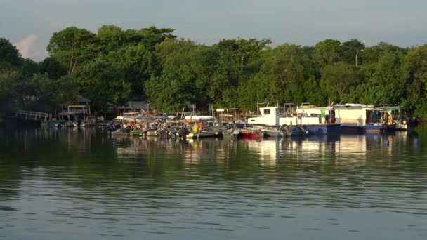 Changi Shaped Mooring Base Boats Moored Marina Changi Beach Park — ストック動画