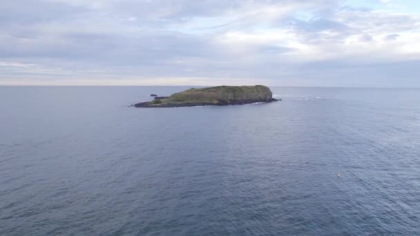 南太平洋の隔離されたクック島 ニューサウスウェールズ州 オーストラリア 空中ドローンショット — ストック動画