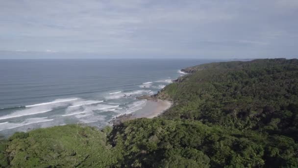 Dense Vegetation Scenic Seascape Broken Head Nsw Australia Aerial Drone — Video